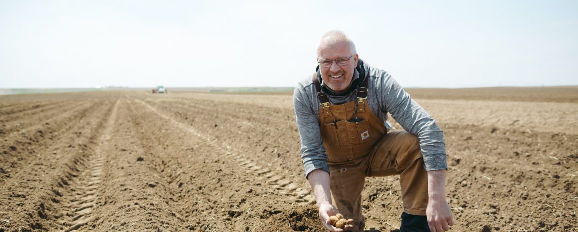 Harry Lamberts in a field.