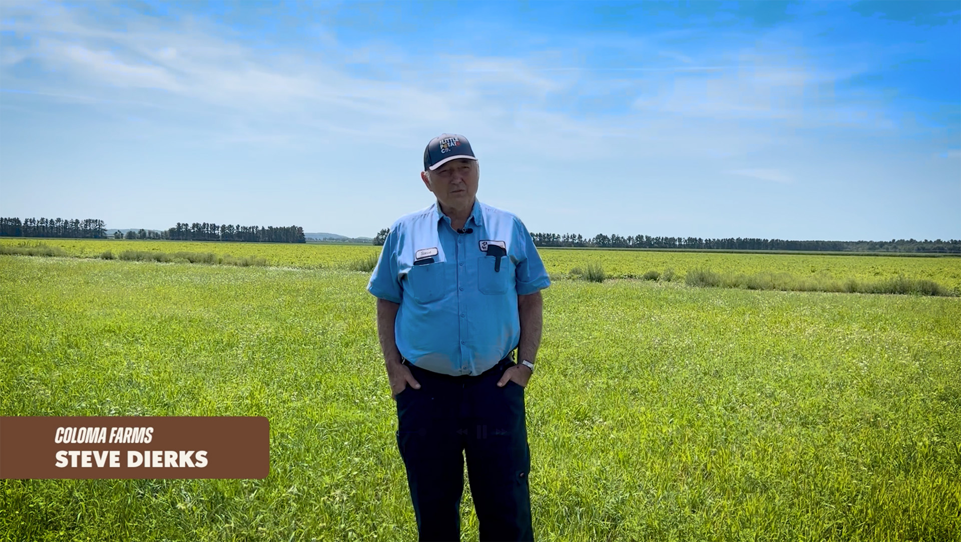 A farmer standing in his field on a nice summer day.