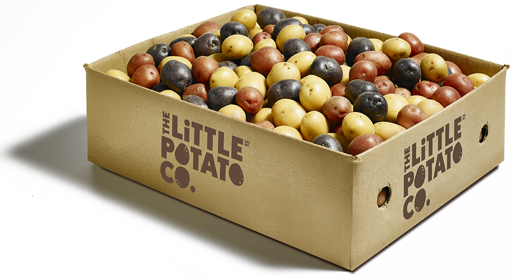 Box of Little Trios™